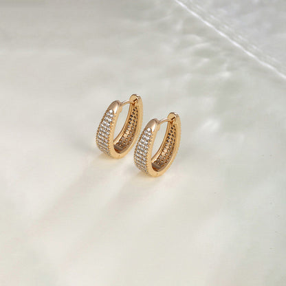 Premium Duo Crystal Earrings